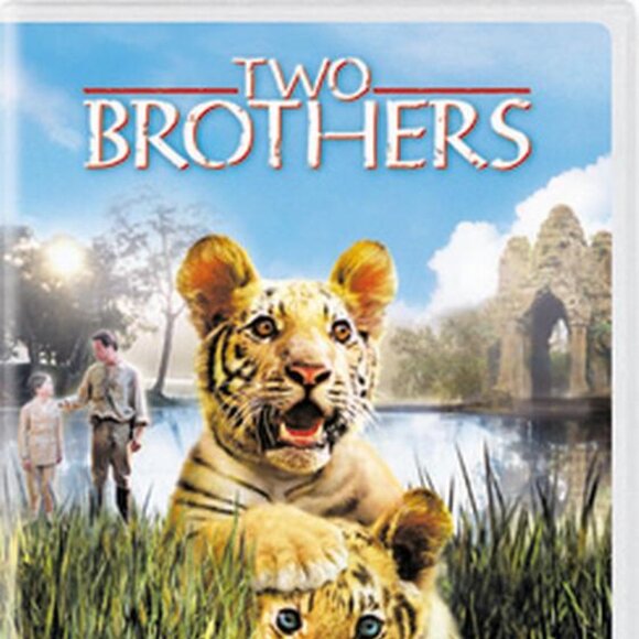 Two Brothers (DVD) - Picture 1 of 4
